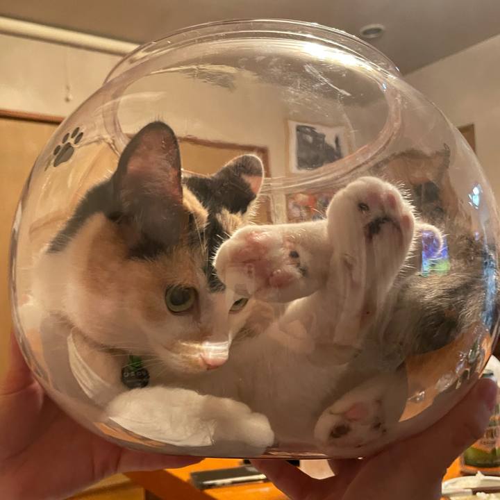 787b01f2 fa3d 427c 88f7 e65b7d9d16ee 1721829636455