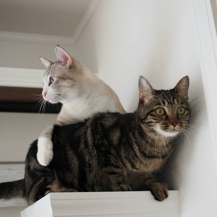 787b166d a7da 41e6 9969 17633f99a2a6 1539319372684