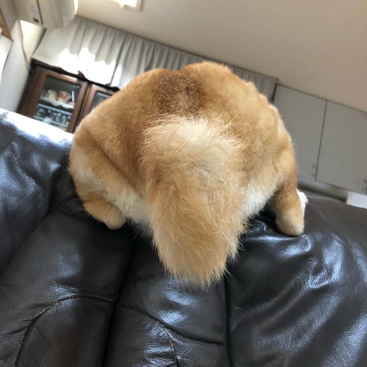 787b25fe b760 4338 8f2a 730689f4c994 1554378526254