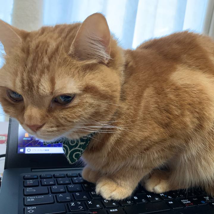 787b3050 cbab 4e9a 945e 3155f4ab03ed 1587620608236