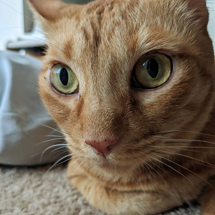 787b3eee ae6b 4c89 89c7 76204ad69b12 1692782010093