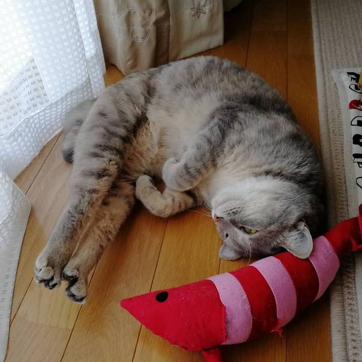 787b41c9 9aa1 4df8 8226 2763d57d0cba 1533452186058