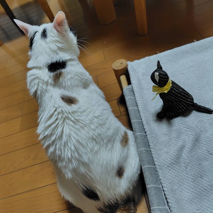 787b4e75 676b 42e1 a367 e6c1281bd931 1738327203821