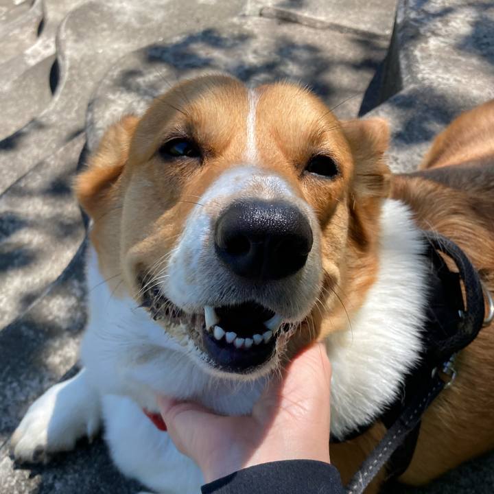 787b6255 1ca0 4f19 8610 f27e7f48bc71 1684892871023