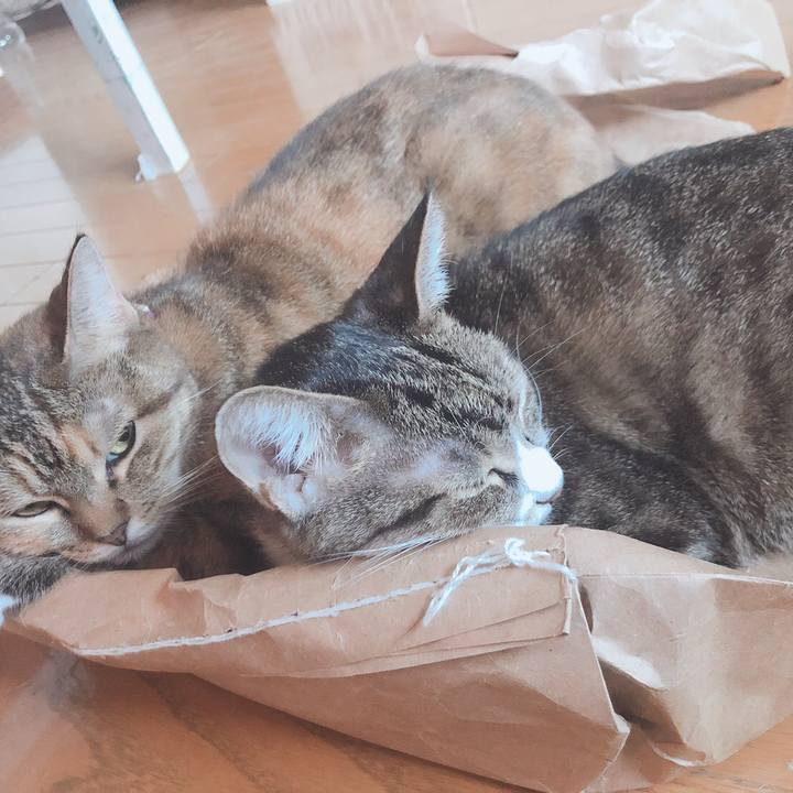 787b963c 6516 4447 b4bf 7c5e9f0d5fca 1570776792598