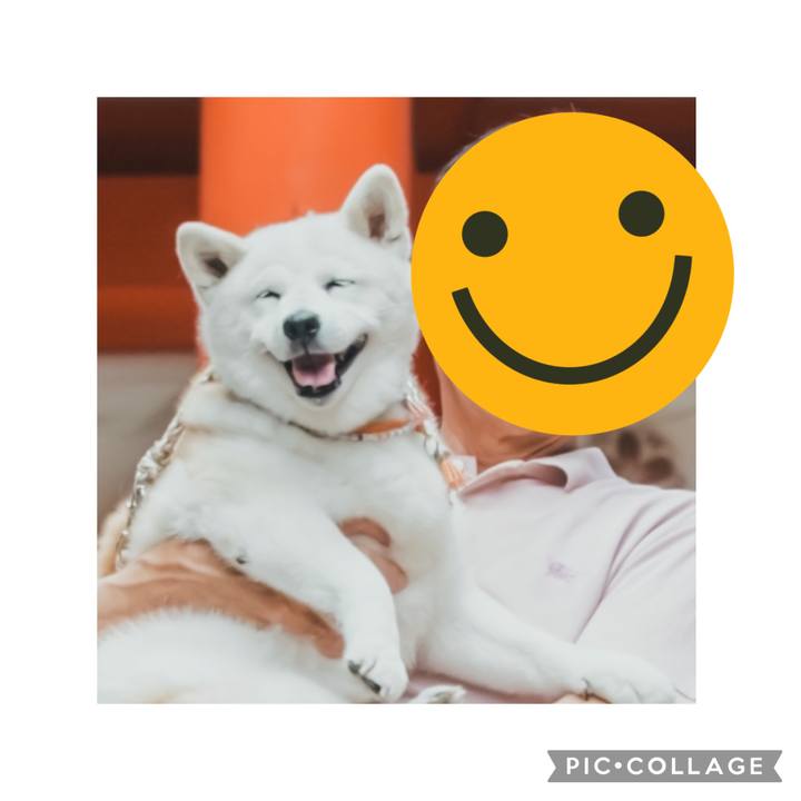 787bd5fc a7d7 4e29 8ba4 ca7cd94a65d8 1689165779035