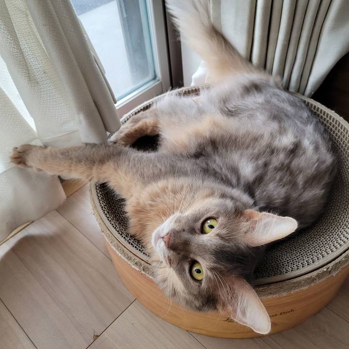 787c4528 9b26 46a9 90a1 e4d7683cae62 1657779532538