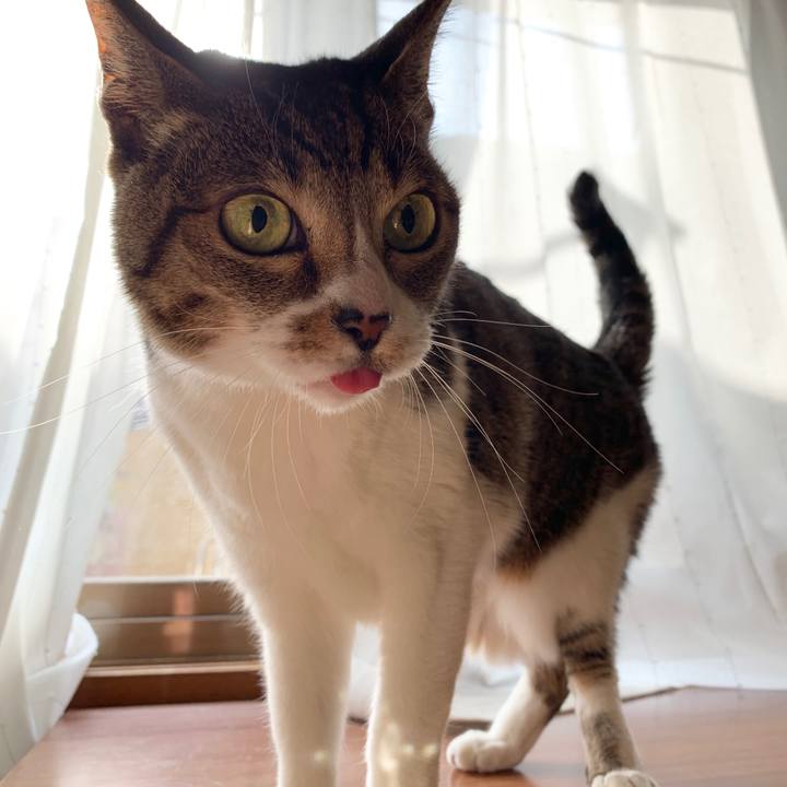 787c4723 80cc 4630 82a6 2b395db1cfc6 1548551432173