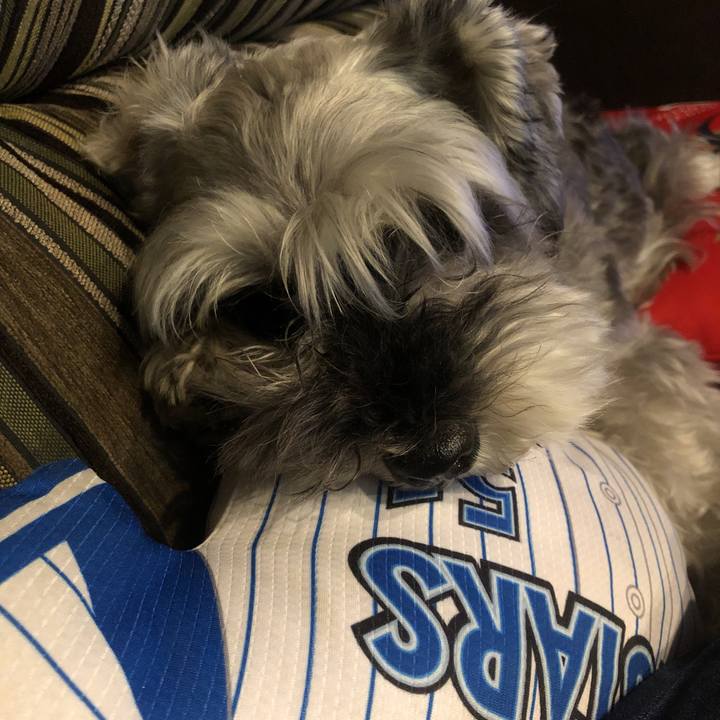 787c61cf aa1f 4f15 b5f6 d1a14a1c9d73 1562060584294