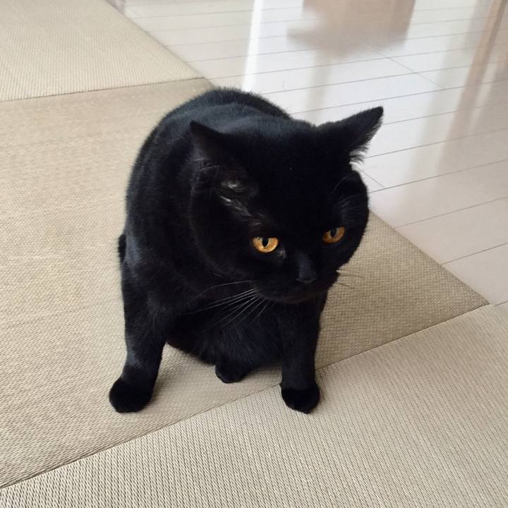 787c88ff 0c2a 458b 8ba3 b4d7a8f0f25f 1583991175646