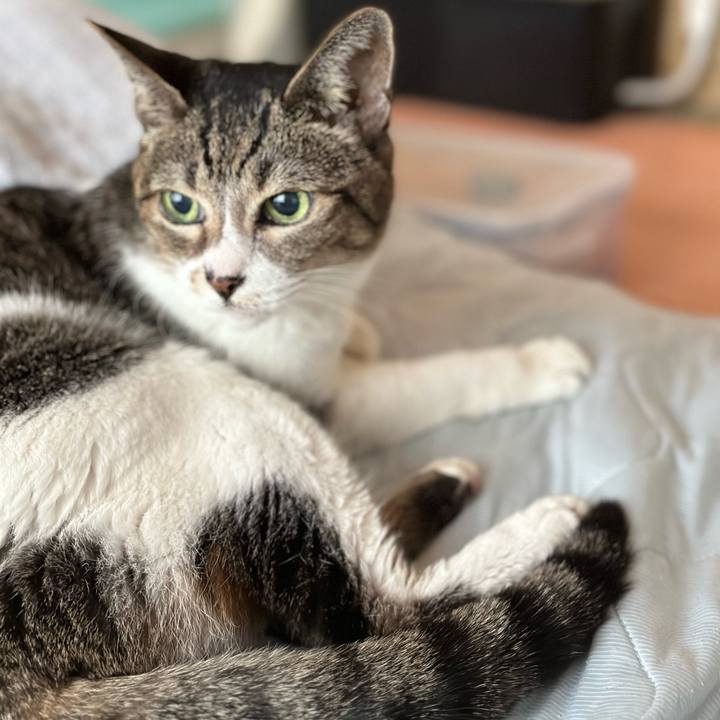 787cb7ad 38dd 4759 931f a453d31e47a6 1663898641739