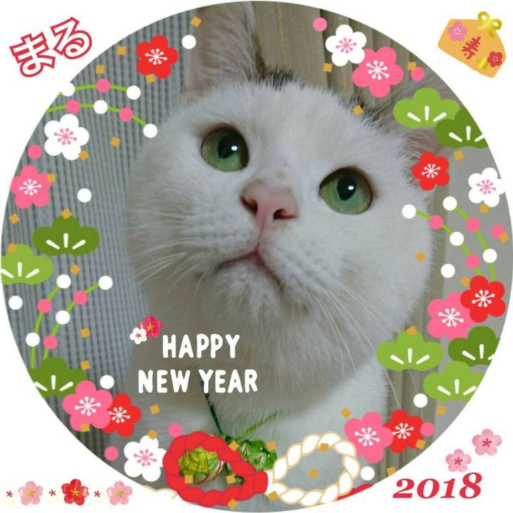 787d5bbb 66f2 4af9 8d87 bc397e095c03 1515338883407