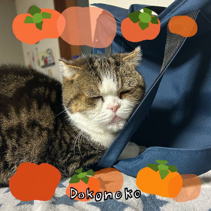 787d82a8 5f20 49b8 861d 2a3349e47fe9 1761515196265