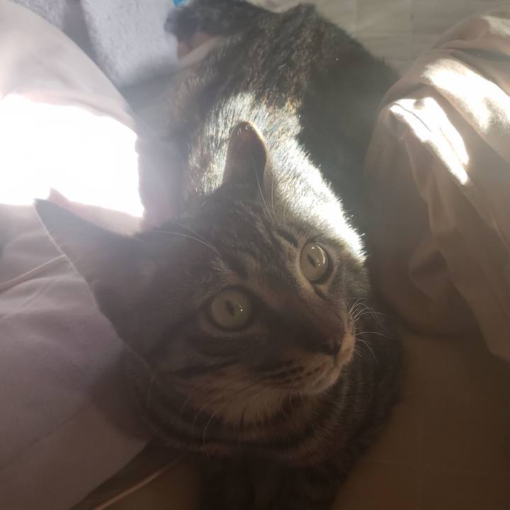 787d97ba af9f 4aed 81a6 992d588235a2 1545068682851