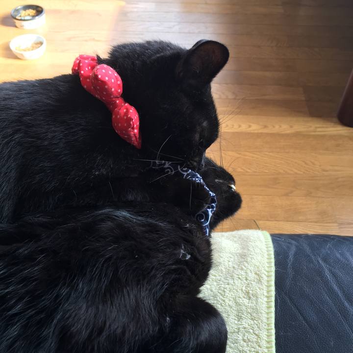 787dcec1 e292 4f31 8b64 ae3abcc0be73 1537052244931