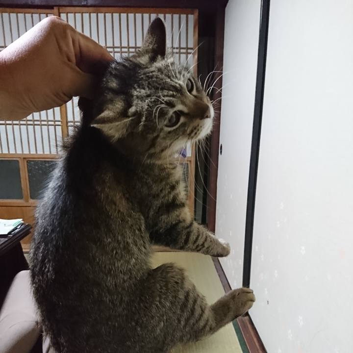 787df304 6608 427f 976c 587bbab52f87 1555417688211