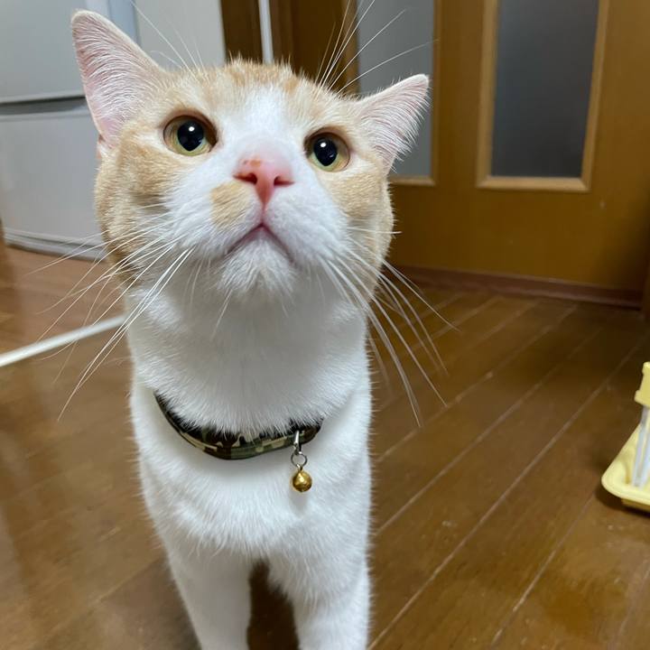 787dfc56 17e3 449f a88f 783111af8f72 1614776242213