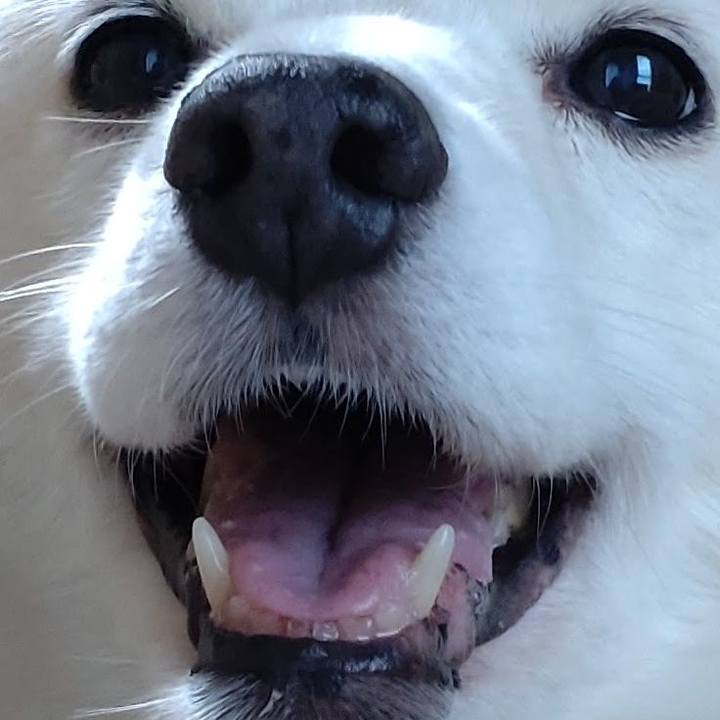 787e1eb9 c2bc 4f0c ba52 282cae1d9efa 1666993729256