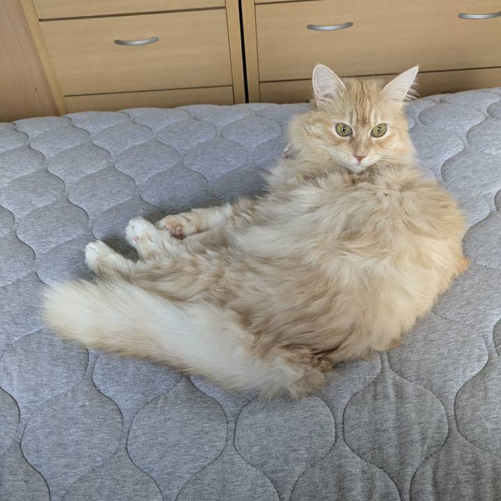 787e2245 2ba4 456f 9a43 1f8ccd967b3a 1756082667445