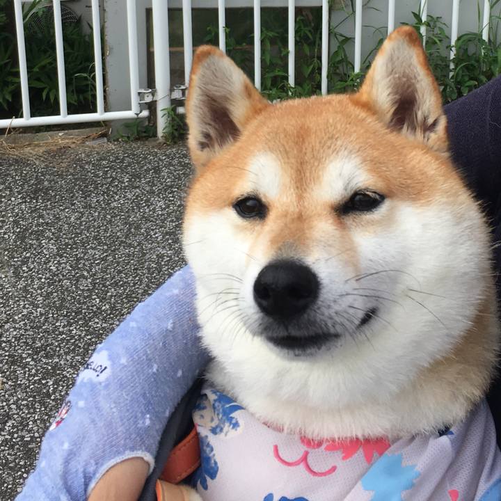 787e2b69 b026 494d 9a4a 98d00e518d82 1564616956098