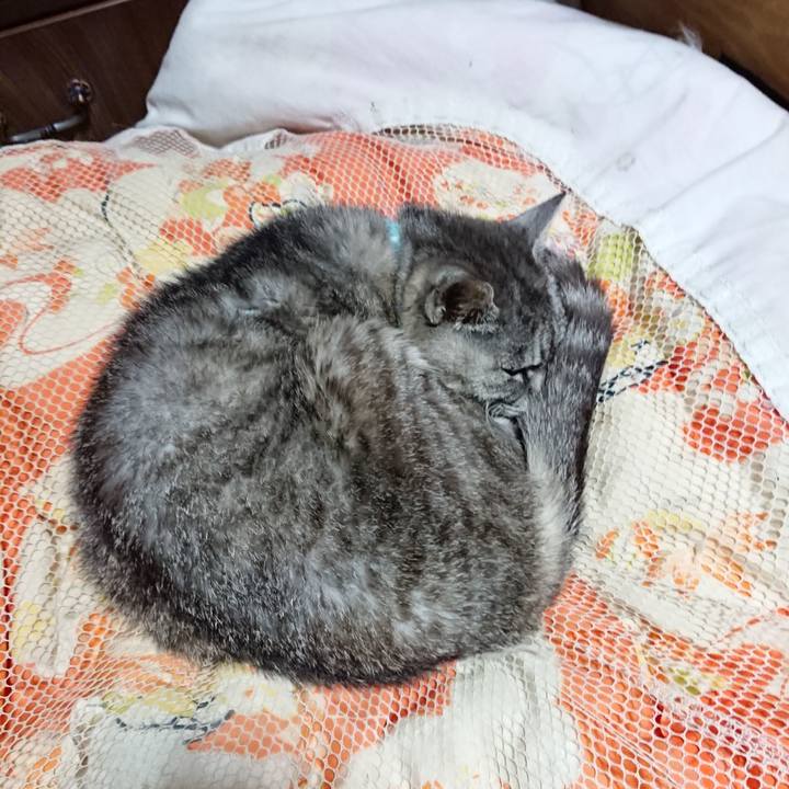 787e3c0d befa 45a2 873d 12832e1aa312 1569589044991