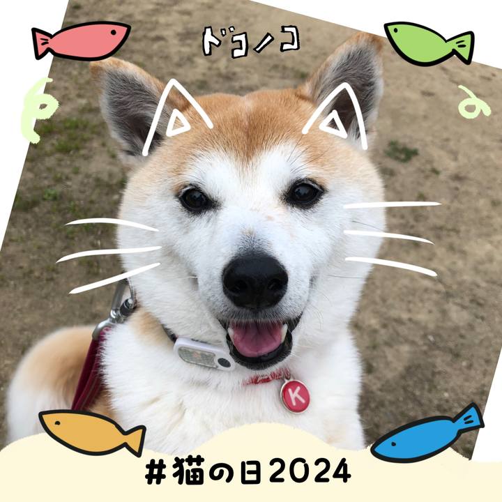 787e5b5a 6512 4259 b9f2 7ea1c2b7145e 1708576636411