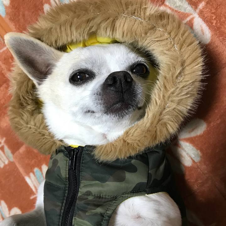 787e7957 0e9a 42dd 8a84 0298eb02ef38 1511526285992