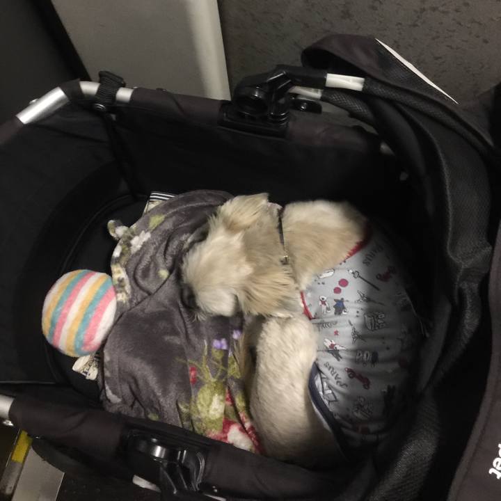 787e863d 98d9 42b2 a708 70db0af8a805 1544099629915