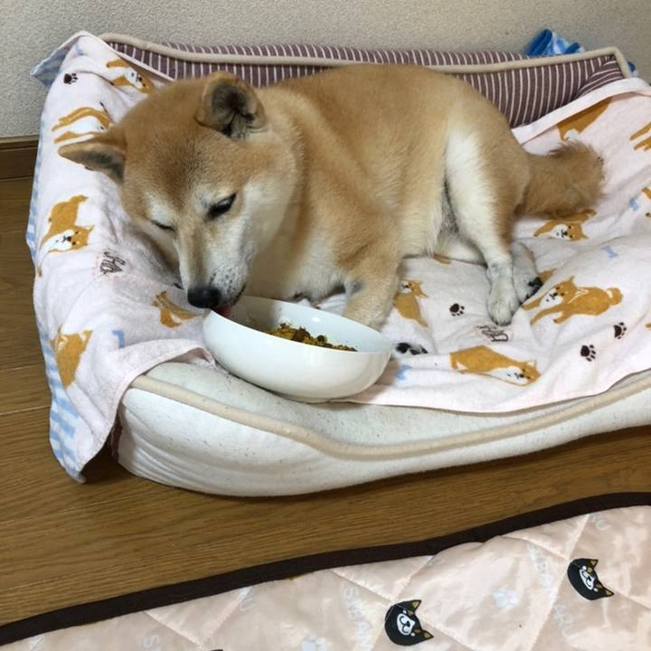 787e8a46 4119 468c 9bca 205e10431e42 1558670059648