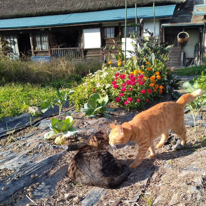 787ead1a 7a2e 4eae bd9e e98b523fbe71 1666075575971