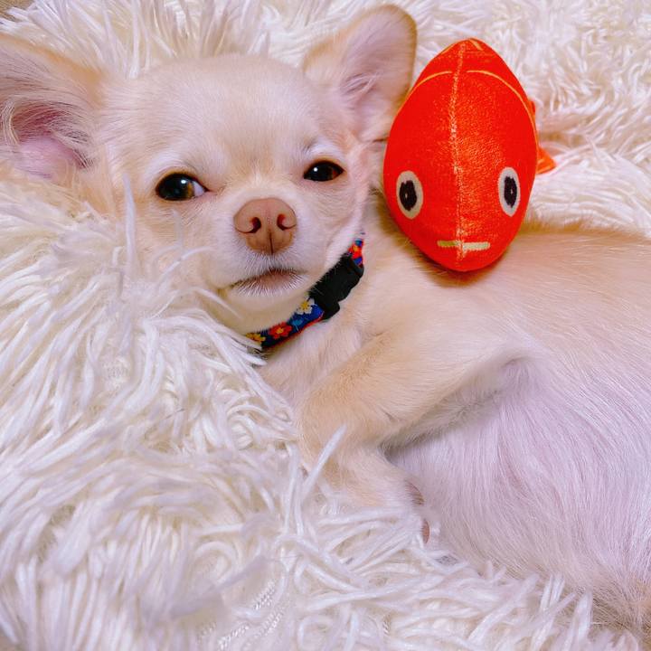 787ec938 2fb3 466f aad8 f0c8a34e36e7 1639106000623