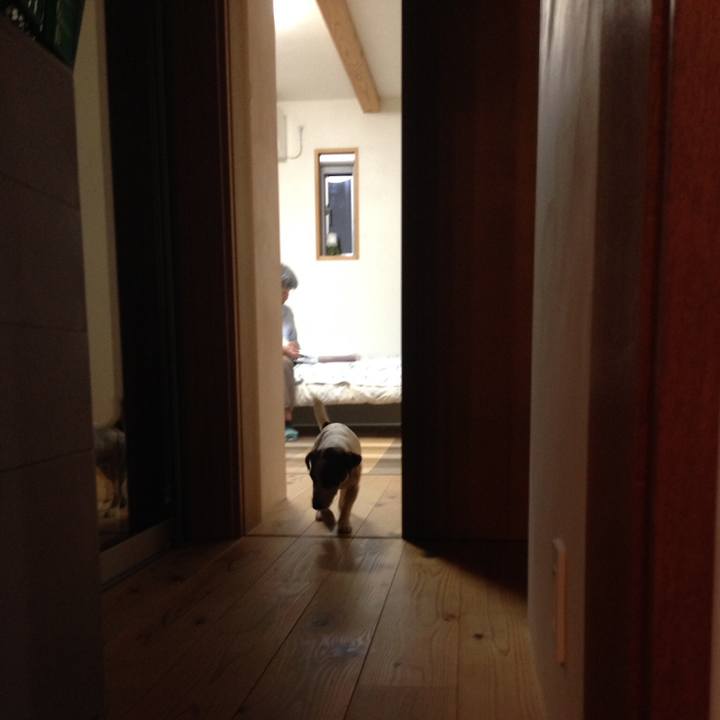 787edb5f 4d2c 41a9 a4c3 dc26900f95bc 1536915320542