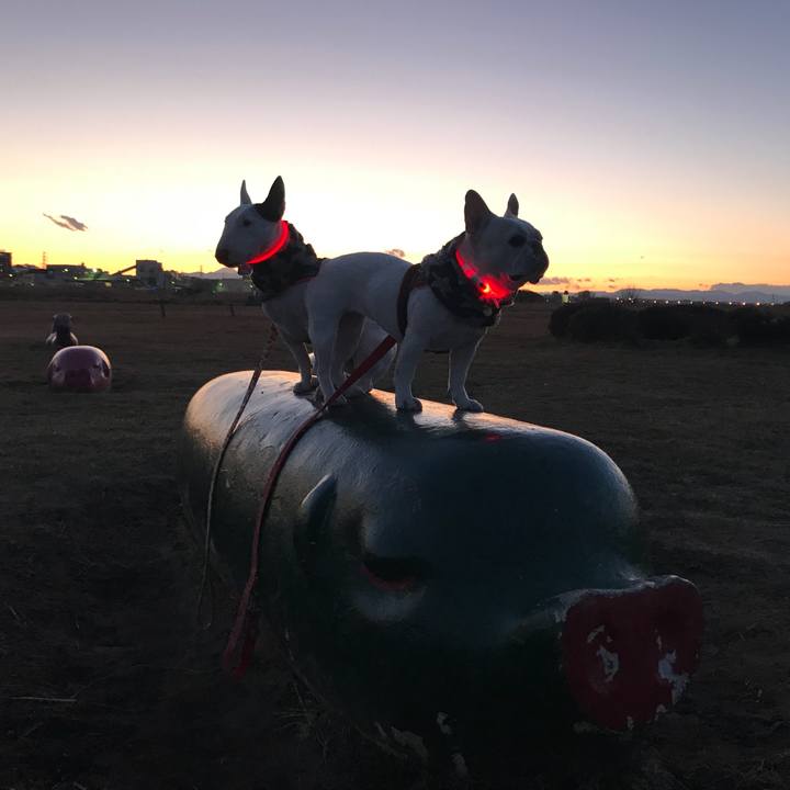 787eea56 8beb 4393 84c3 a5b262f2f24a 1519214755473