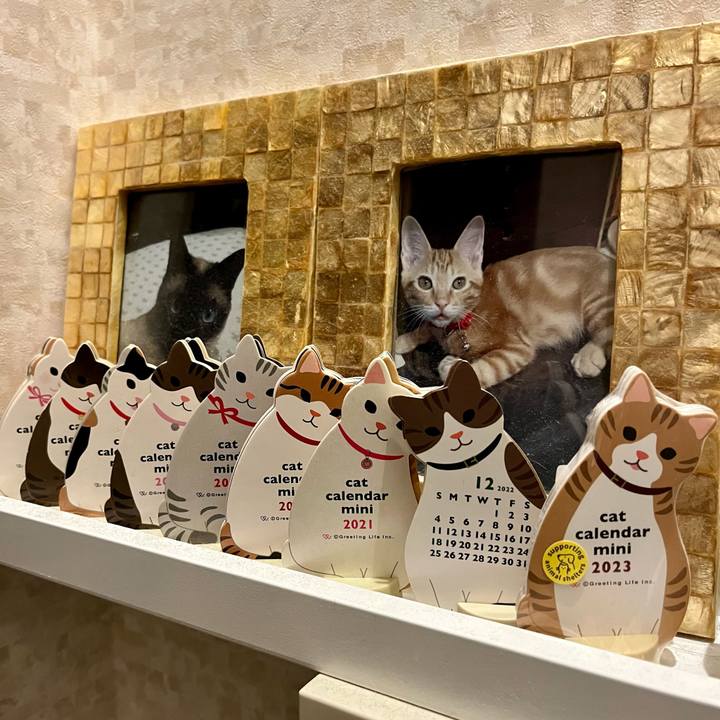 787ef7ac 30cd 4d73 8f83 07bddc622341 1669843045544