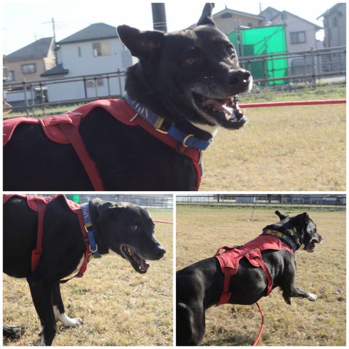 787f42fd 9eee 4361 acd0 cae60fbef3b5 1678927899537