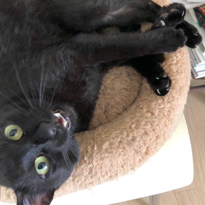 787f816d 1d65 4040 8cd6 c44fb4acc055 1592098626765