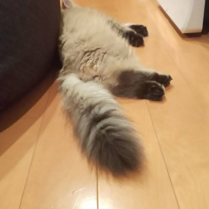 787f8bf5 5ee2 42a4 a3f9 1da36e22cb86 1558559560815