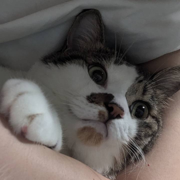 787fb905 7c85 4462 82a0 532a7657ceb6 1725058283456