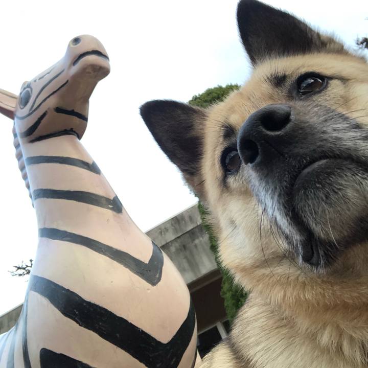 787fded8 a6d5 4435 9ca7 3e482af84703 1549713807122