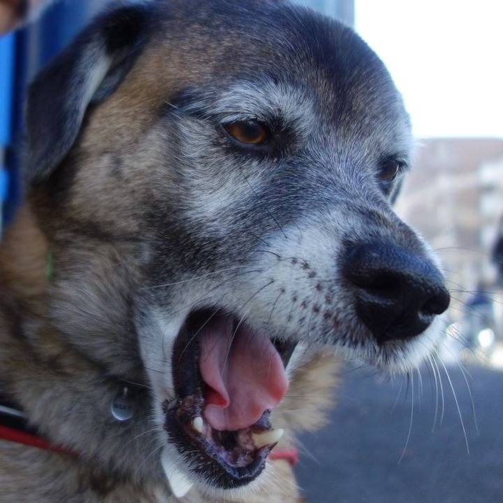 78801cf4 814b 4b72 a413 d9cb765e218f 1511671120456