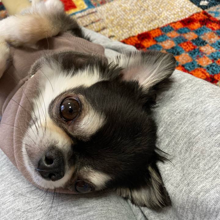 78802147 956d 4150 8450 c72c32ef2201 1682222632175