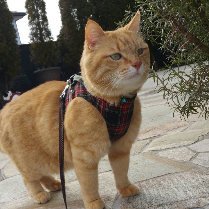 78806a18 1b52 44c6 ae54 4c50f90fb579 1579922801663