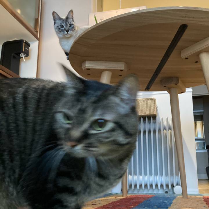 7880a83c 13b1 4c34 a493 34afd1a525a1 1613352815207