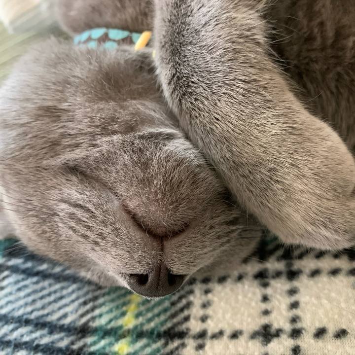 78810a20 bcfd 4228 99ab 8185db1b865f 1587777611968