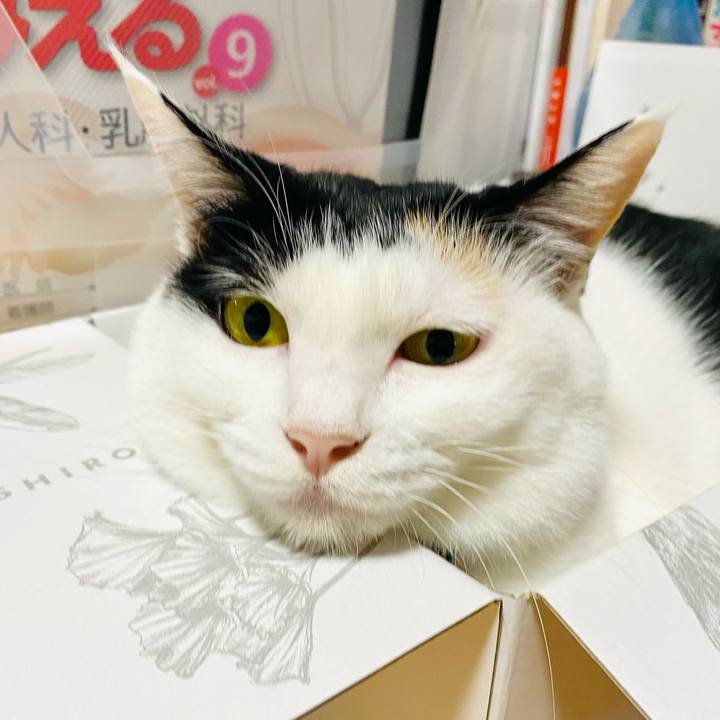 78815093 4371 4c79 b211 fd80a28f72b7 1697149821515