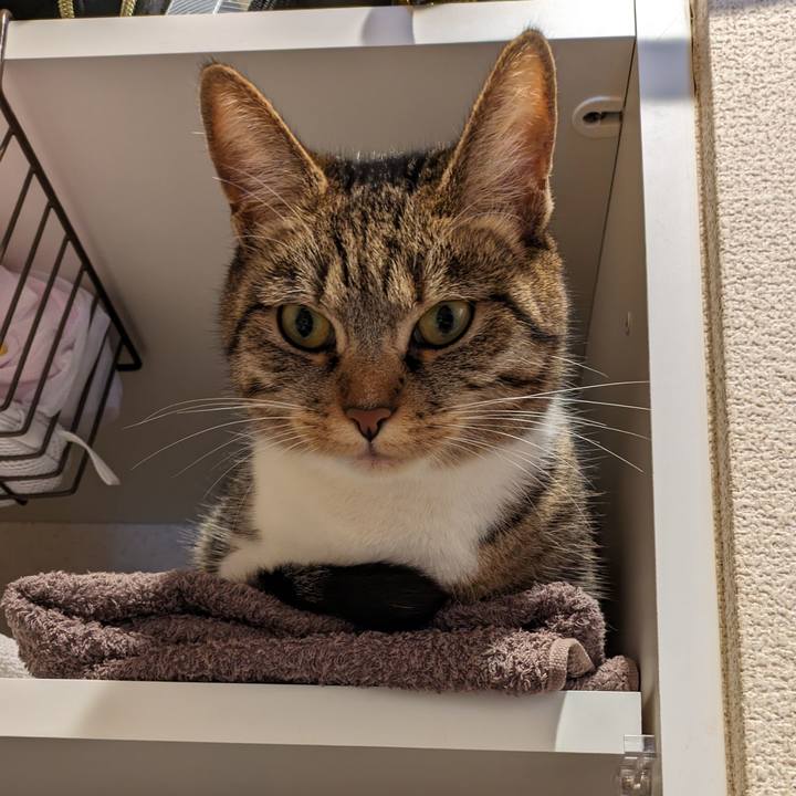 78815a58 29fe 4b6a 8419 5eb806810541 1710890695230