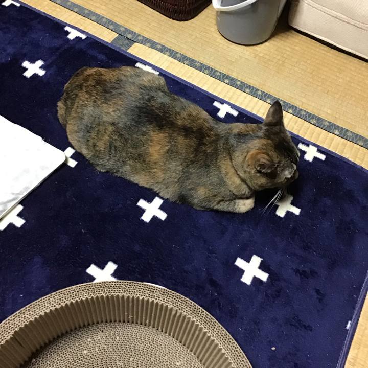 78817f47 766d 4f23 825a c5f3feaa28d0 1734947477273