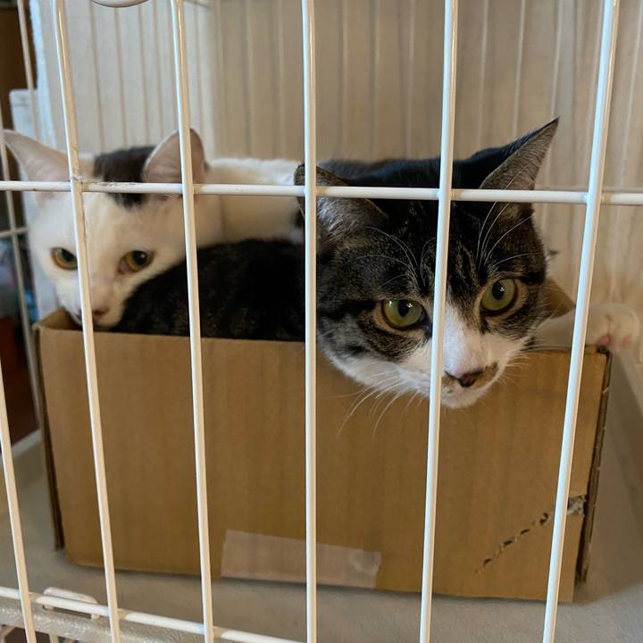 78819c20 d292 448b b40d dbdcab0e4c7b 1704700852317