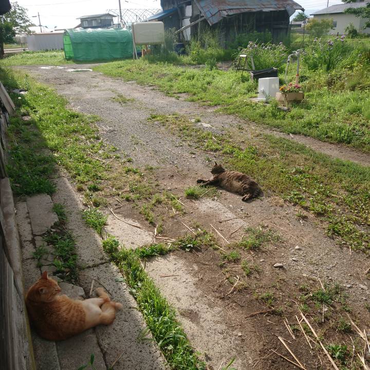 7881cec9 531b 41c8 8779 e8904a3c4083 1656455981042