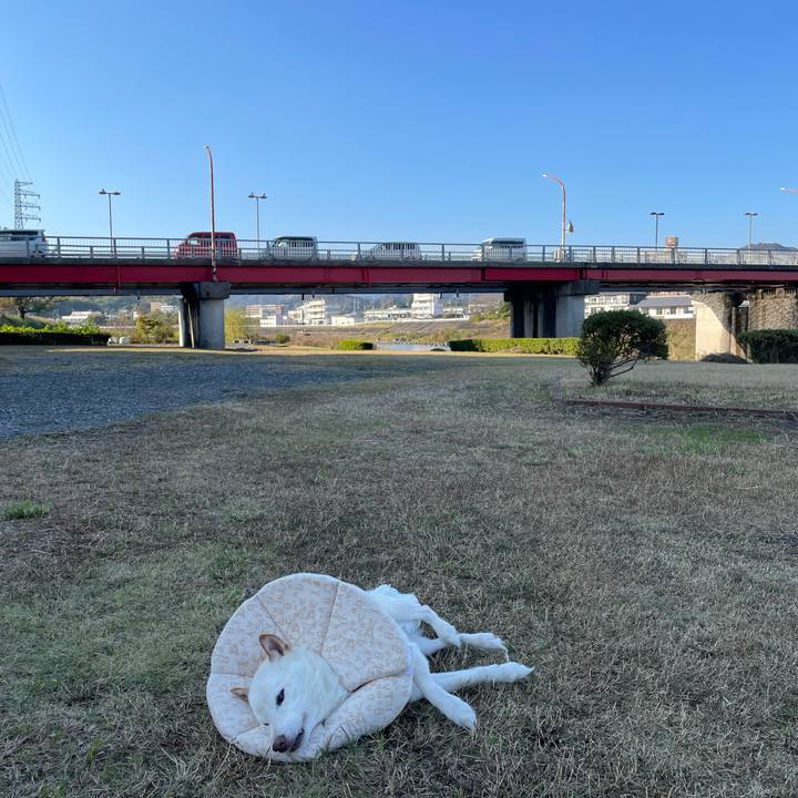 7881f705 85e5 4222 823d ab050a4d3ce7 1667888119090